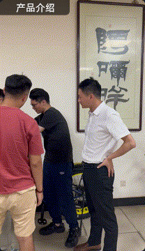 迈吉斯